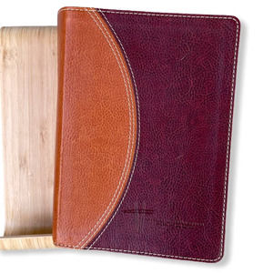 Study Bible by Zondervan Bibles (2011, Leather)